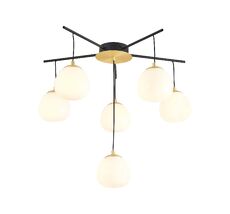 Потолочная люстра Favourite Paramount 3047-6P
