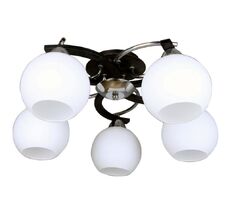 Потолочная люстра Omnilux OML-25407-05