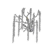 Настенный светильник Dio Darte Tavenna Tavenna H 2.40.100 N