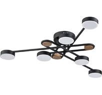 Потолочная люстра Arte Lamp Taygeta A2455PL-6BK