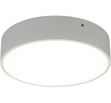 Потолочный светильник круглый светодиодный Aployt APL.0114.09.18