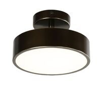 Потолочный светильник F-Promo Daur 3060-2P