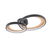 Потолочная люстра светодиодная с пультом (Ночной режим, С таймером) Escada 10265/2LED_ESC