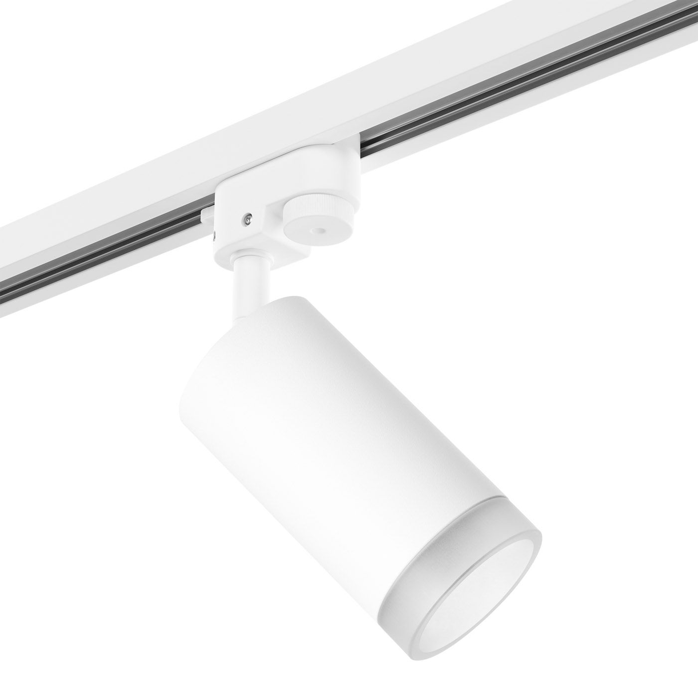 Трековый светильник LightStar RULLO R1T43630_LS