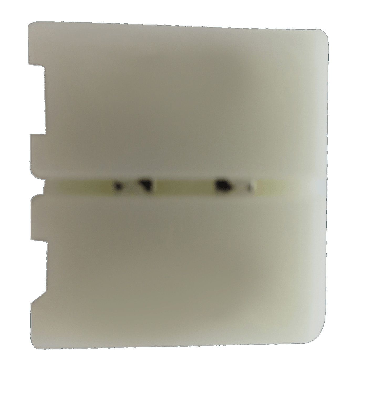 Коннектор для ленты без провода SWG 2pin-10mm 00000000164_SW