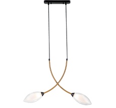 Подвесной светильник (13001/2P Black) Indigo V000140