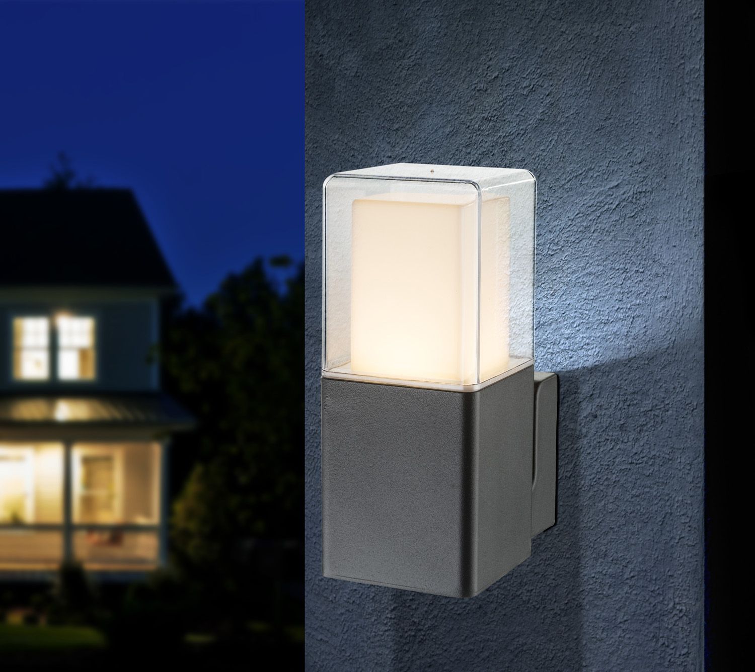 Уличный настенный светильник Dalia 34575W_GL