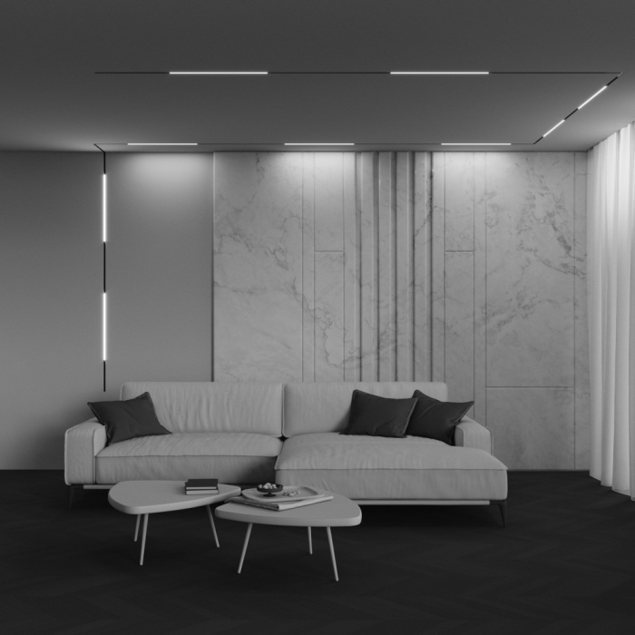 Трековый светильник низковольтный светодиодный 48V 45W 3000K Maytoni TR240-2-12W3K-B_MY