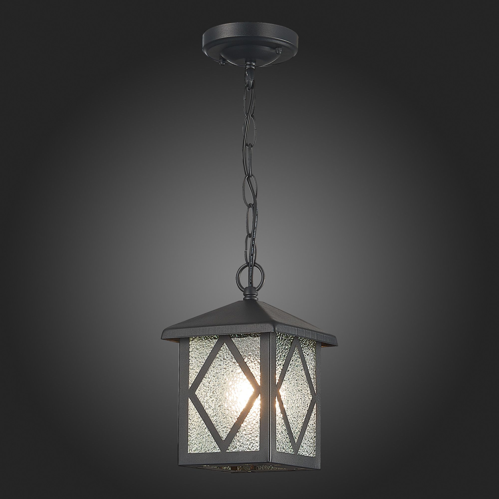 Светильник уличный подвесной LORNE SL084.403.01