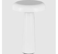 Настольная лампа гриб аккумуляторная Freya Mushroom FR6109TL-L4W_MY