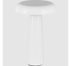 Настольная лампа гриб аккумуляторная Freya Mushroom FR6109TL-L4W_MY