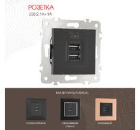 Розетка USB 2.1А+1А Arte Milano 203.46-1.black
