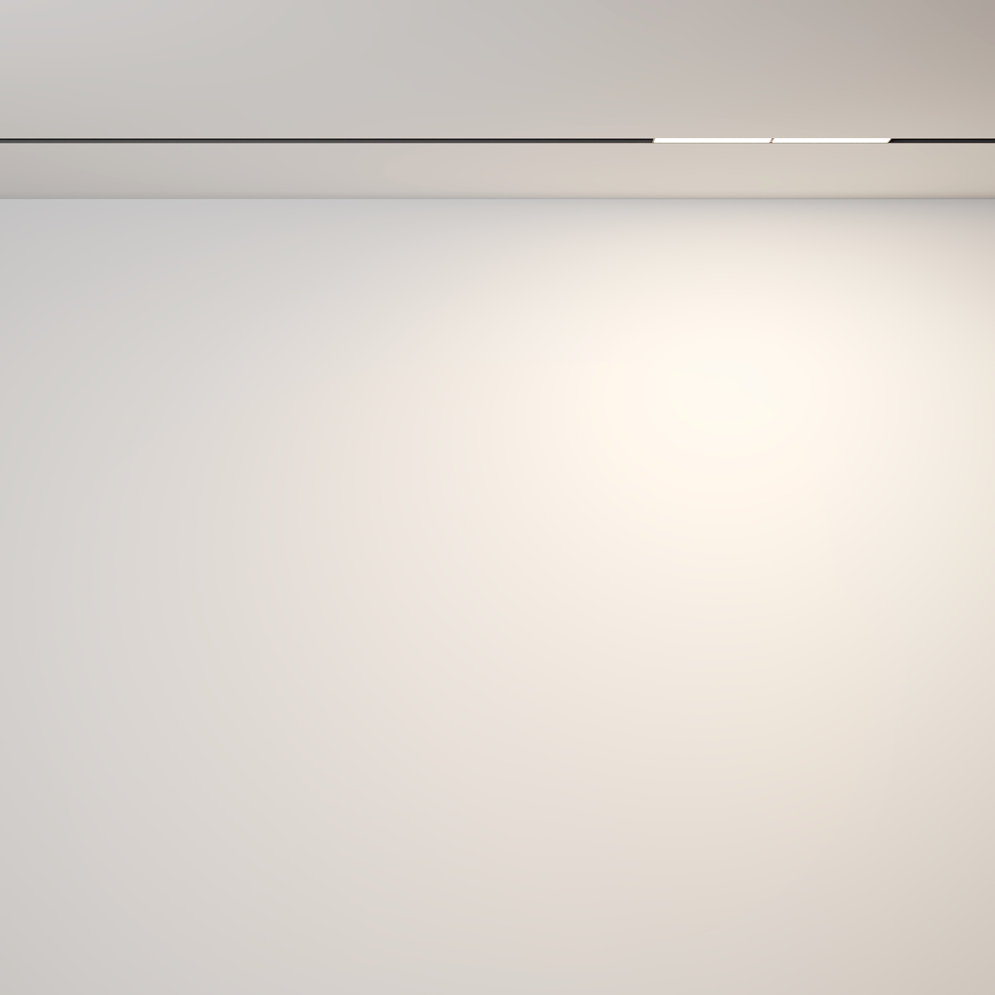 Трековый светильник Maytoni Technical Parete TR106-2-12W3K-B_MY