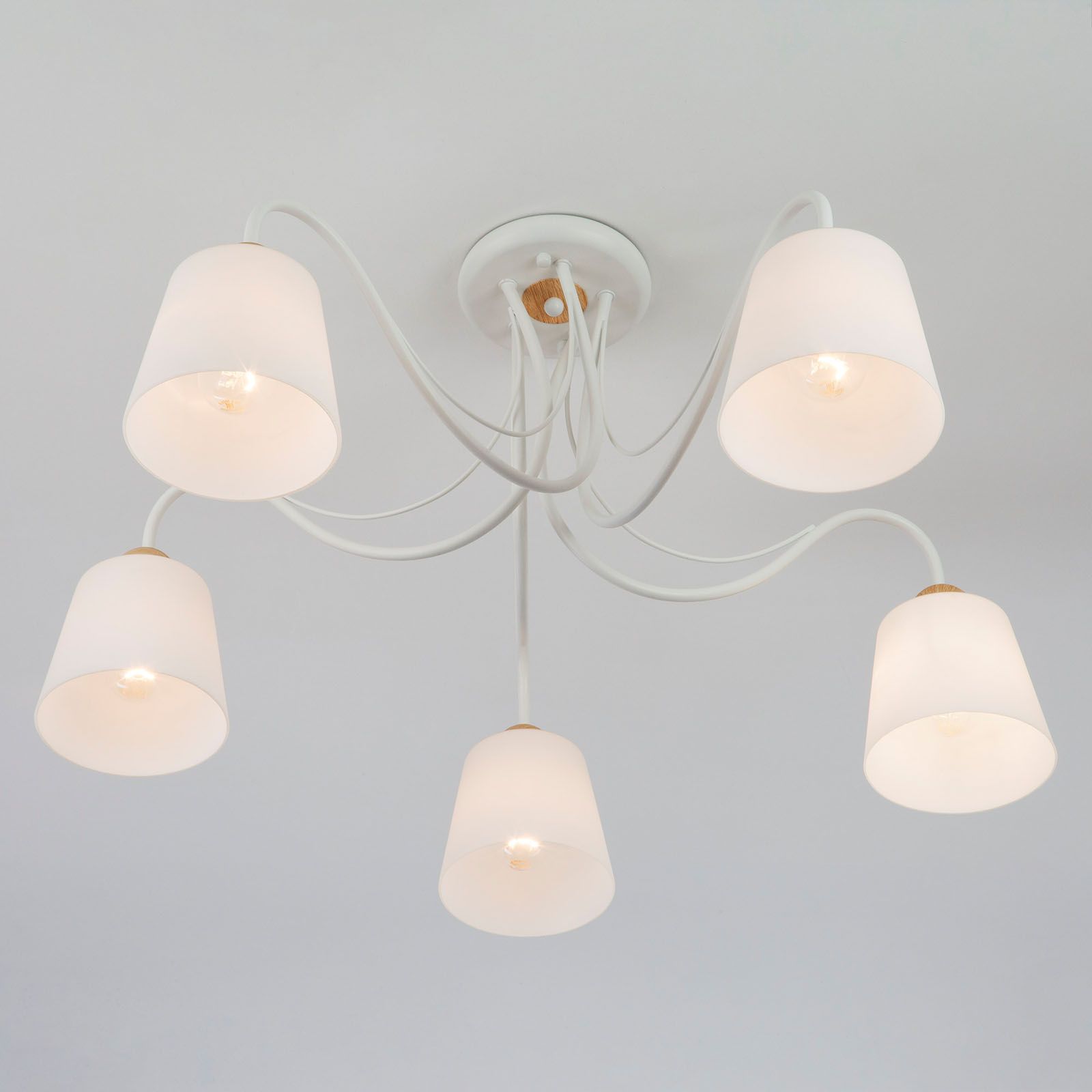 Потолочная люстра Eurosvet Betty 00000081856_EU