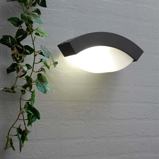 Настенный светильник уличный IP44 Oasis Light 2146 GR_OL