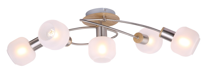 Потолочная люстра Globo LOGGI 54302-5_GL