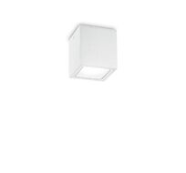 Уличный потолочный светильник TECHO TECHO PL1 SMALL BIANCO_IL