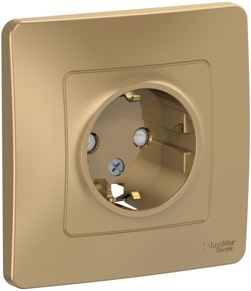 Розетка встраиваемая с заземлением и шторками (титан) Systeme Electric BLNRS001114