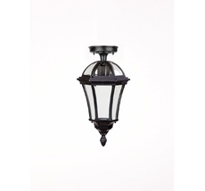 Потолочный светильник уличный IP44 Oasis Light 95205SA Bl_OL