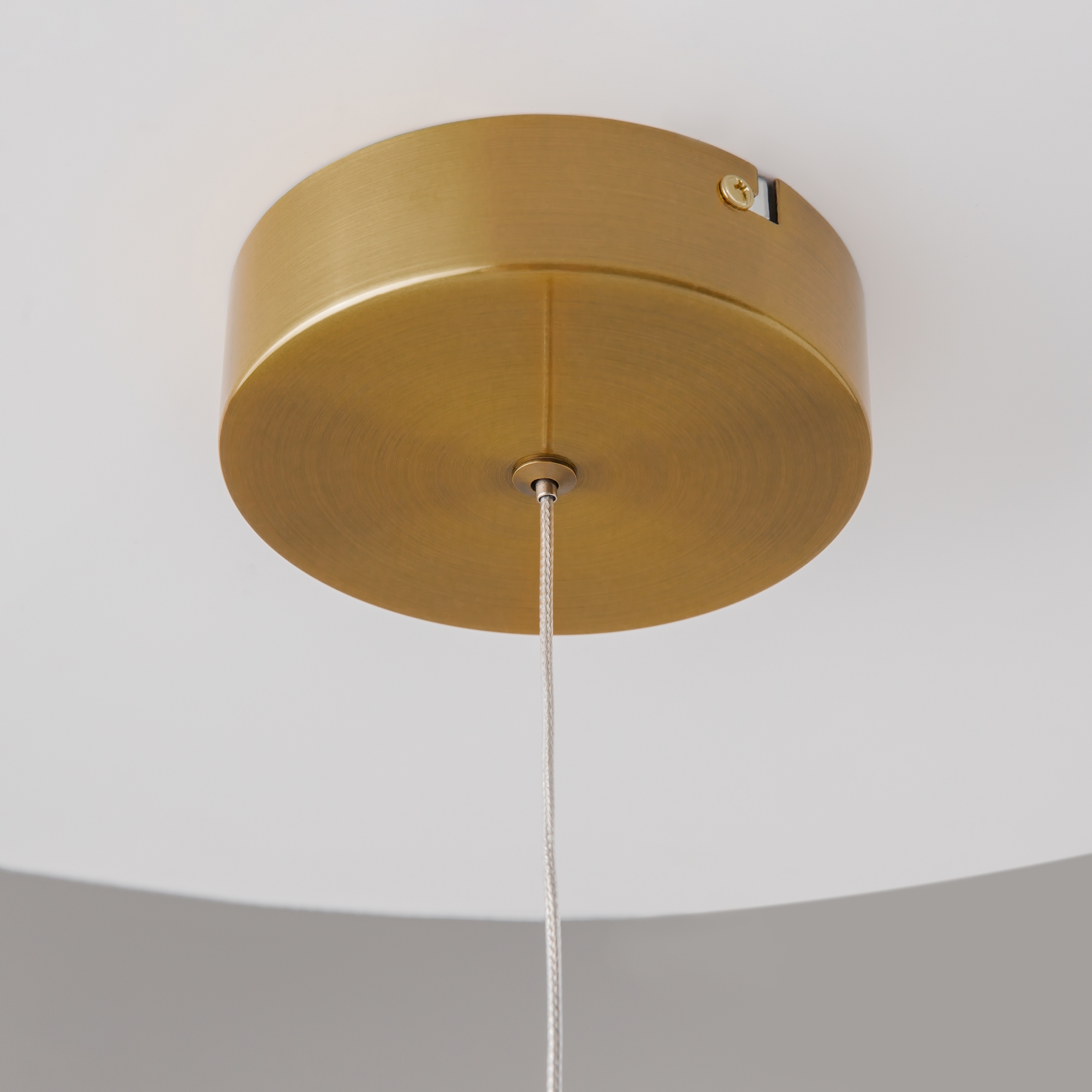 Подвесной светильник Maytoni Mind MOD299PL-L10BS3K_MY