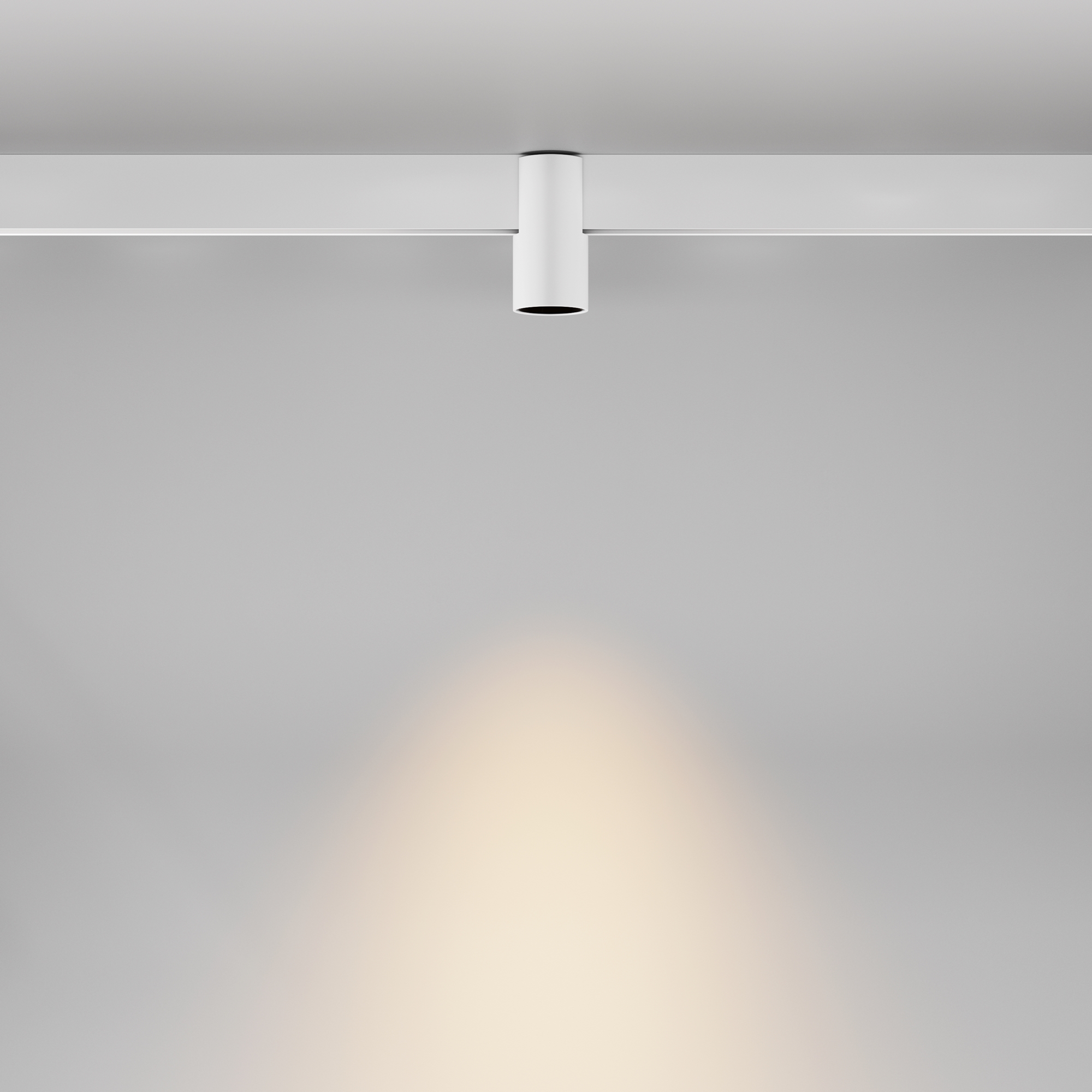 Трековый светильник Maytoni Technical Alfa TR122-2-7W3K-W_MY