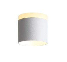 Накладной светильник ST Luce PANAGGIO ST102.502.09