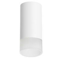 Накладной светильник LightStar Rullo R43631_LS