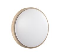 Настенно-потолочный светильник Sonex LOSTA 7607/CL_Sonex