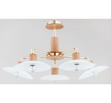 Потолочная люстра Alfa ZOA QUENTIN 24715_AL