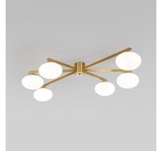 Потолочная люстра Eurosvet Opaline a065766_EU