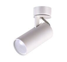 Спот Odeon Light CORSE 3873/1C