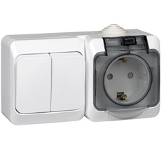 Розетка накладная с заземлением и крышкой с двухклавишным выключателем (белый) Systeme Electric BPA16-242B