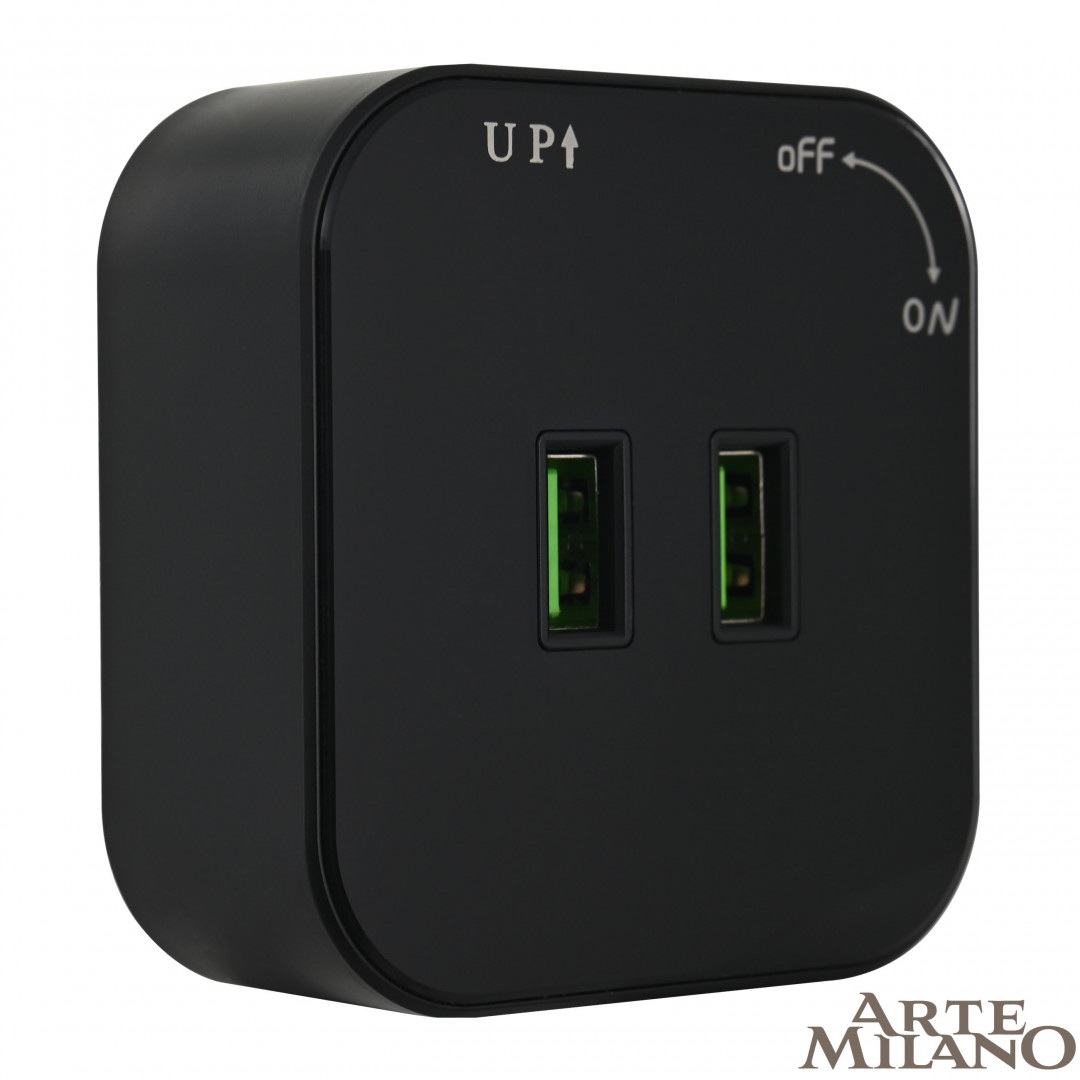 Трековая розетка Arte Milano track-sockets 380022TS/USBx2 Black