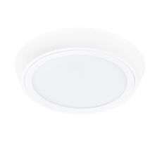 Настенно-потолочный светильник LightStar Urbano 216902_LS