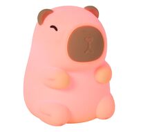 Настольная лампа Lucide PINCHA 54500/01/38