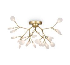 Потолочная люстры Freya Florencia FR5049CL-27G_MY