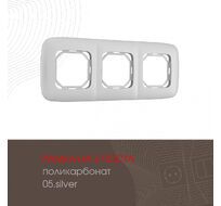 Рамка из поликарбоната на 3 поста Arte Milano 505.05-3.silver