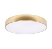 Потолочный светильник LOFT IT Flims 10228/A_LF