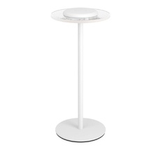 Настольная лампа Eglo TREPELLA 75885