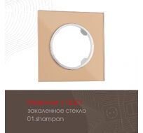 Рамка из закаленного стекла на 1 пост Arte Milano 502.01-1.shampan