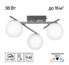 Потолочная люстра Citilux DORSY CL223131