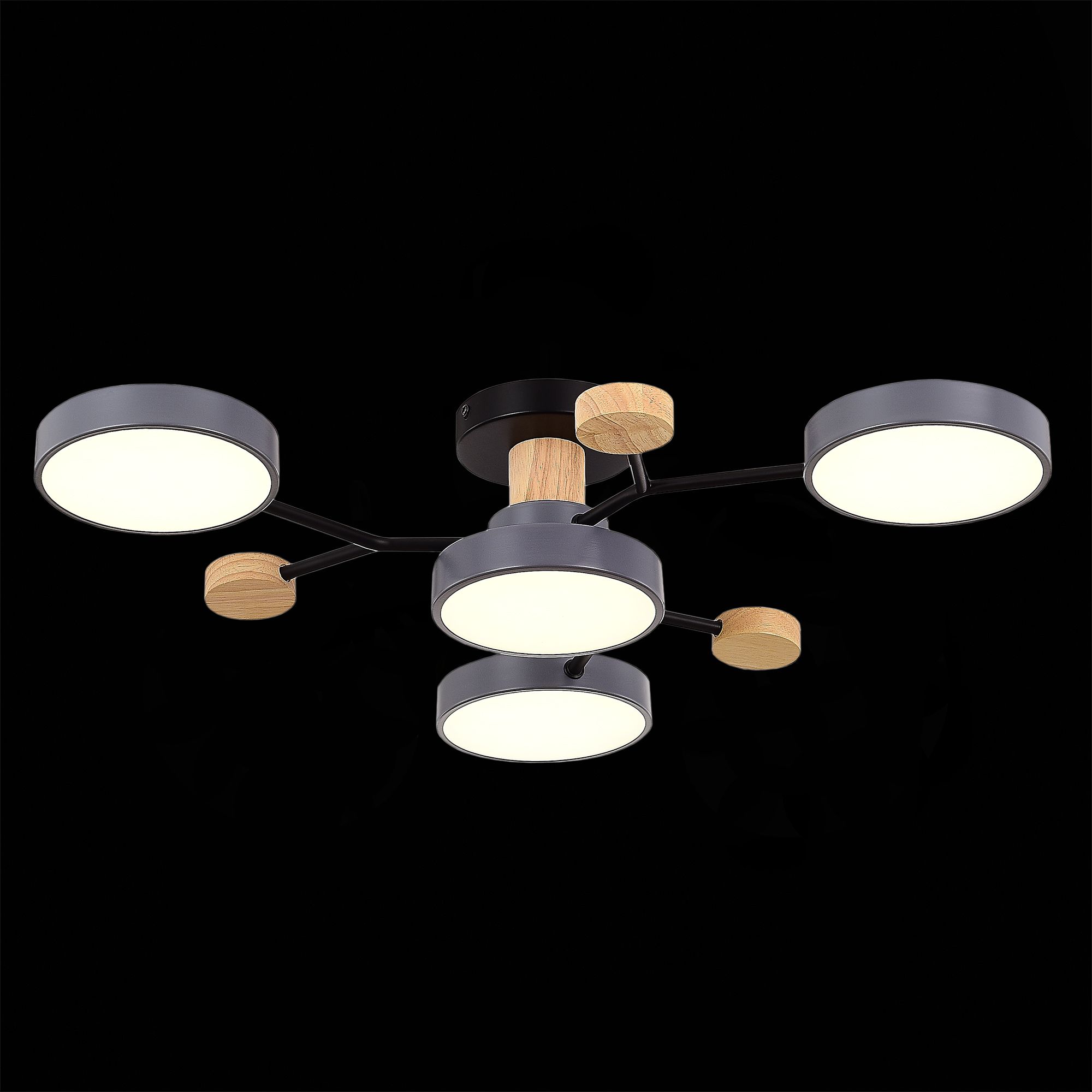 Потолочная люстра Evoluce FAEMA SLE6006-702-04