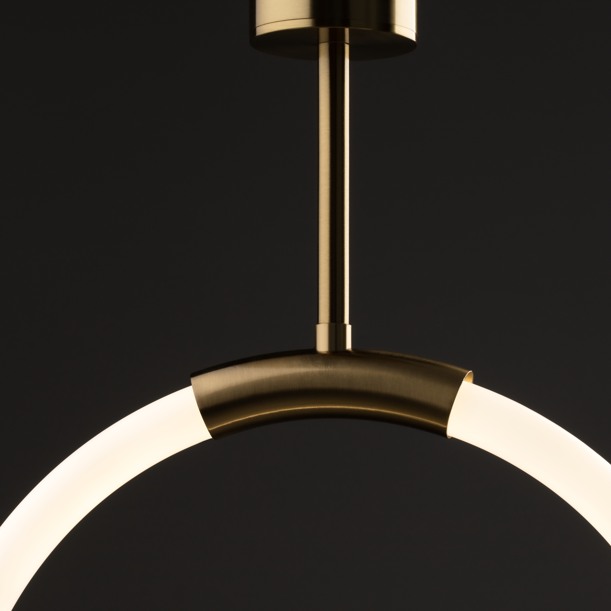 Подвесной светильник Freya Pina FR5387PL-L14BS_MY