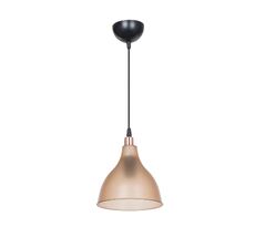 Подвесной светильник Toplight Catharine TL1658H-01AM