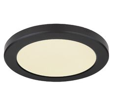 Потолочный светильник Globo Lasse 12379-18B_GL