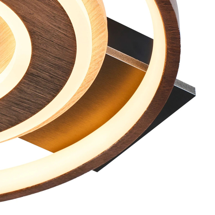 Потолочный светильник светодиодный F-Promo 4699-1C