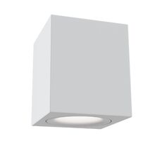 Накладной светильник Maytoni Alfa C013CL-01W_MY