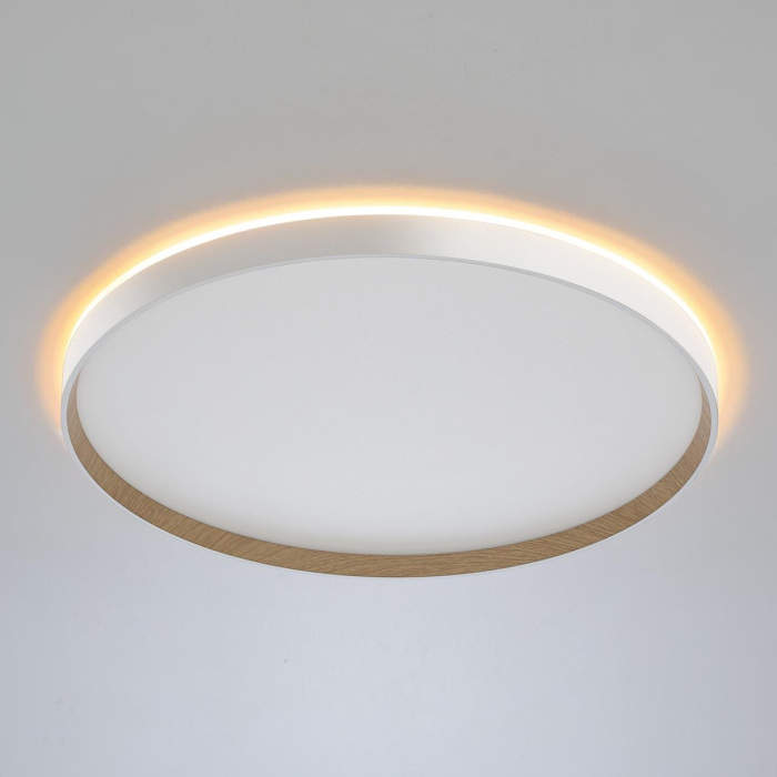 Потолочный светильник Citilux Etalon CL750500R