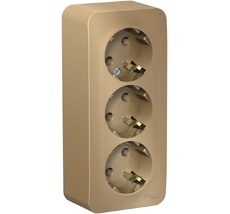 Розетка накладная тройная с заземлением (титан) Systeme Electric BLNRA010314