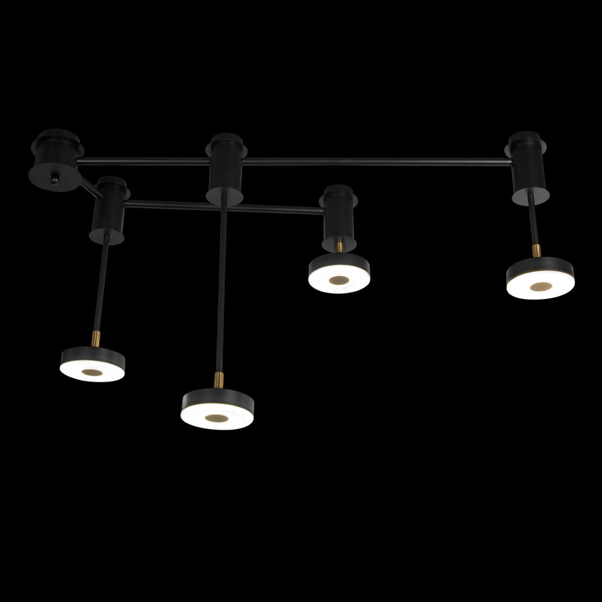 Потолочная люстра Loft IT Flock 10189/1000_LF